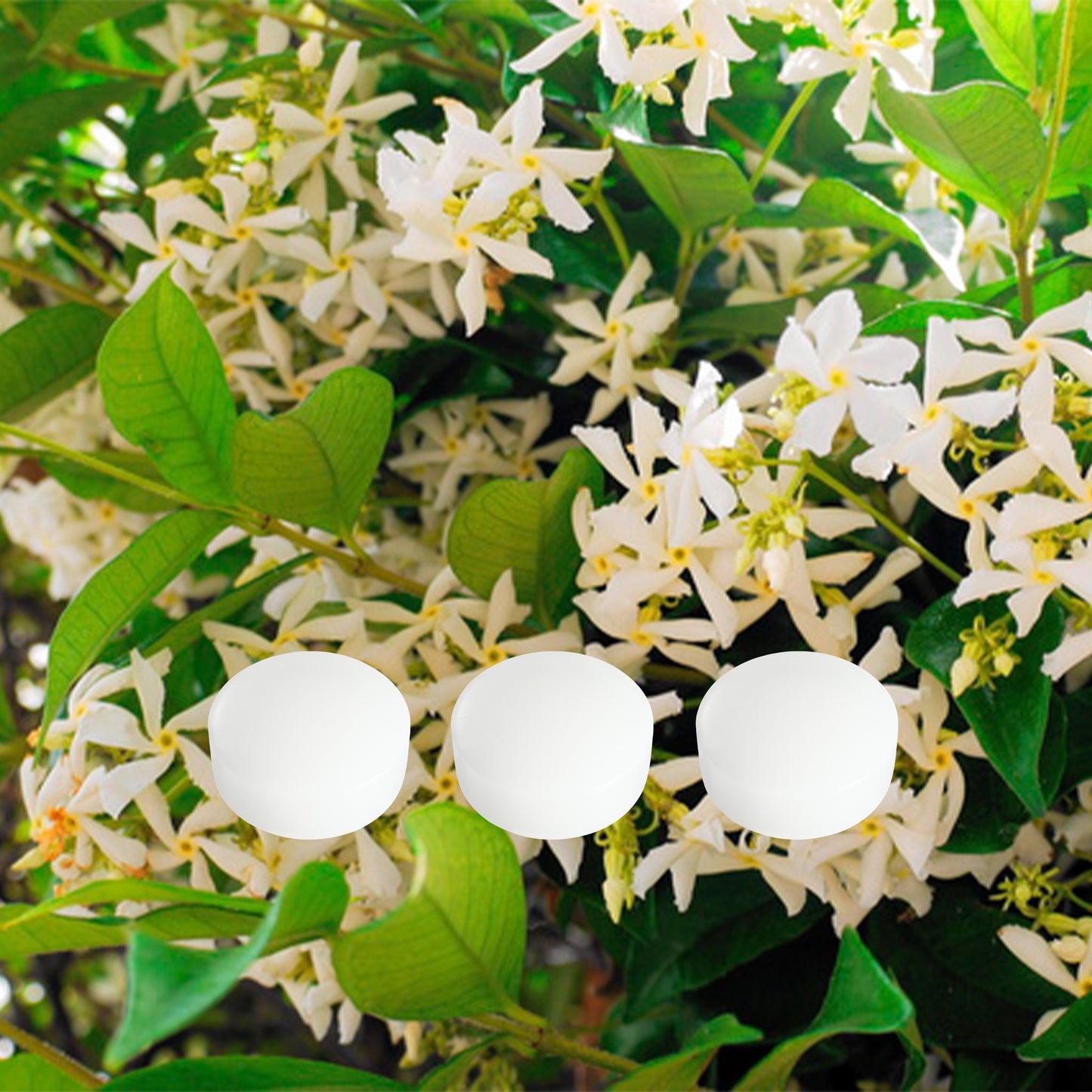 クリスタルソープ3個セット(ジャスミン)