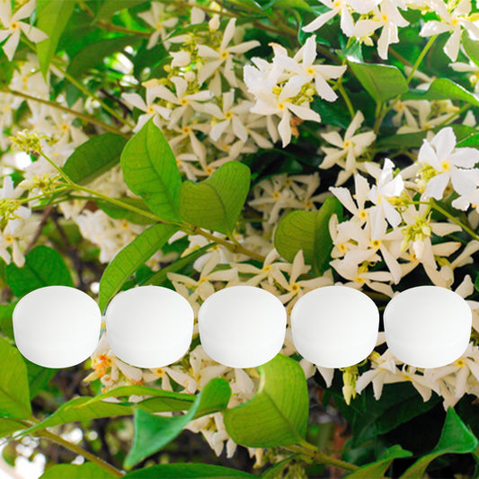 クリスタルソープ5個セット(ジャスミン)